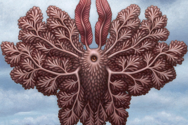 Catriona Secker - Biomorphic