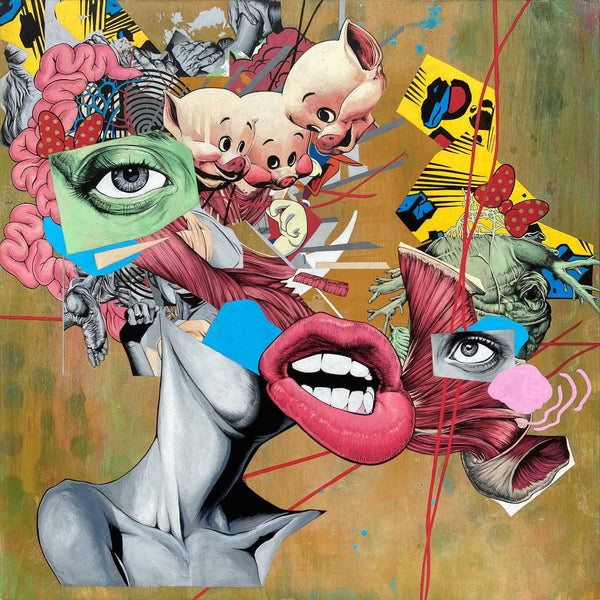 Brendan Rowe
