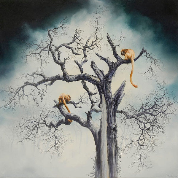 Brian Mashburn - Black Rainbow