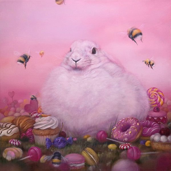 Dewi Plass - Comfort Zone