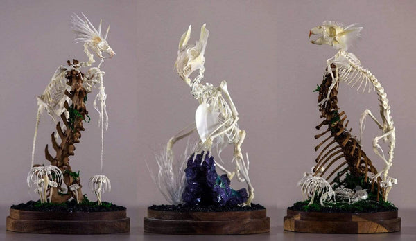 Chimaephera - Gerard Geer Solo Exhibition