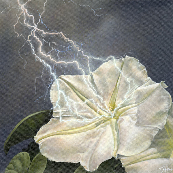 Hallie Packard