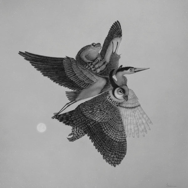Juliet Schreckinger