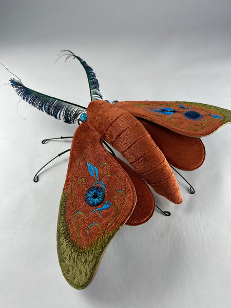 Larysa Bernhardt - Sublimations