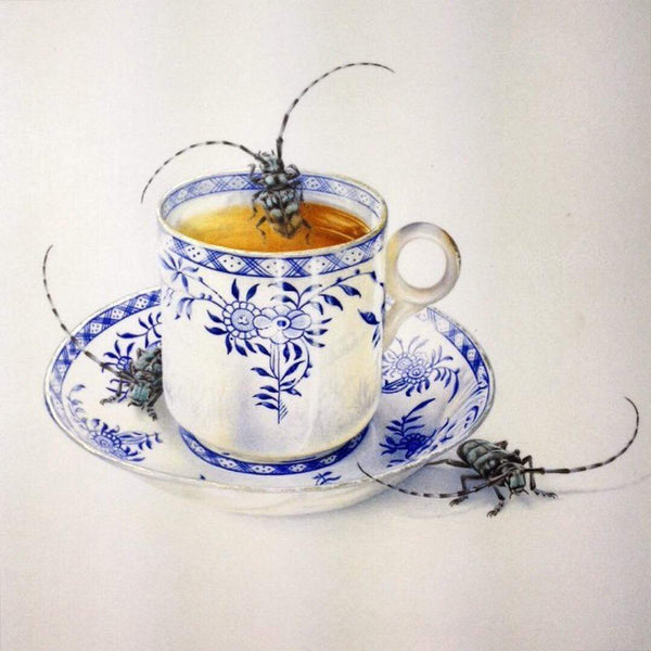 Mali Moir