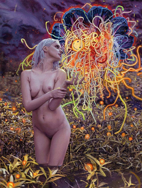 Luminosity &amp; Dust – Casey Weldon, Peter Gric, Rodrigo Luff &amp; Gerard Geer