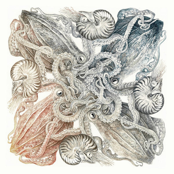 Brian Cheung - Panacea