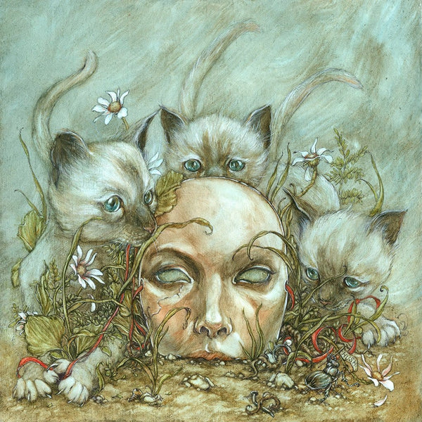Jeremy Hush