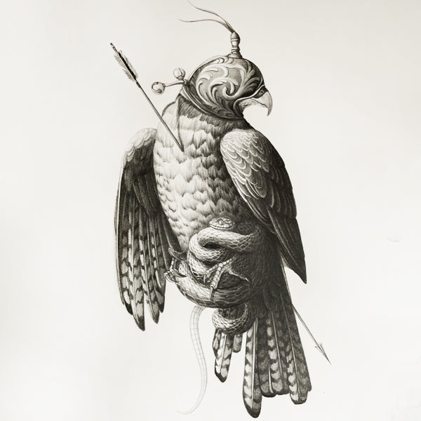 Alessandro Jako