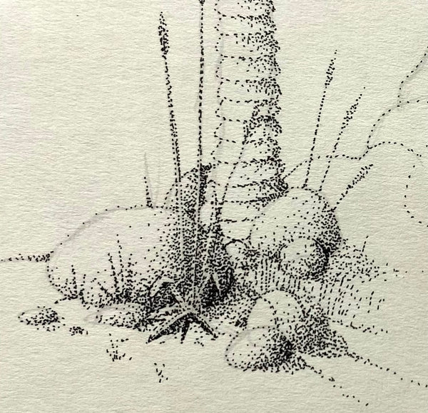 Graeme Base - 'A Little Landscape' - ink on paper