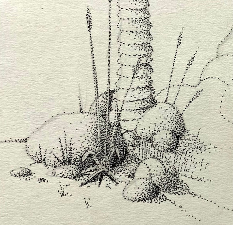 Graeme Base - 'A Little Landscape' - ink on paper