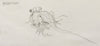 Graeme Base - 'A Slivey Tove' - pencil on paper
