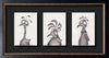 Adam Elliot - 'Extinct Gaga Birds' - waterproof ink, ink wash and graphite on Arches hot-pressed watercolour paper'