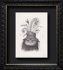 Adam Elliot Artwork