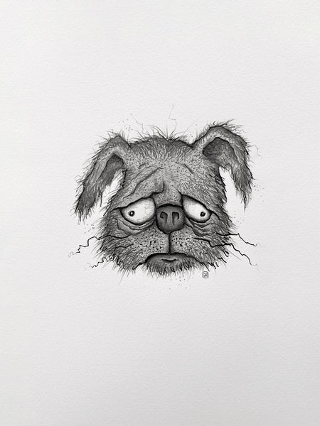 Adam Elliot - 'Pug #44' - pencil, ink and ink wash on Arches French watercolour paper