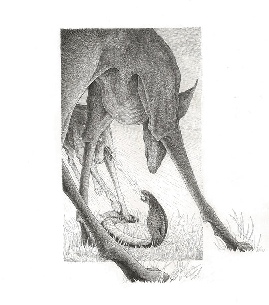 Artemisia Cornett art