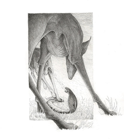 Artemisia Cornett art