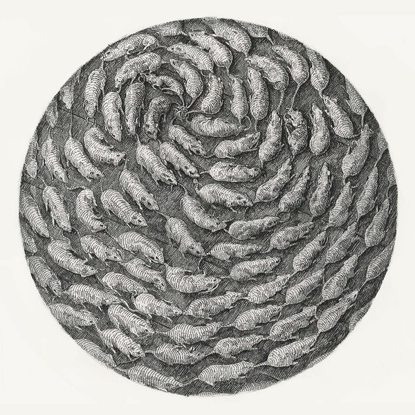 Artemisia Cornett Artwork