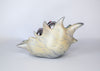 Jale Soysal - 'Pearly Feet' - epoxy clay, acrylic paint, metal, resin