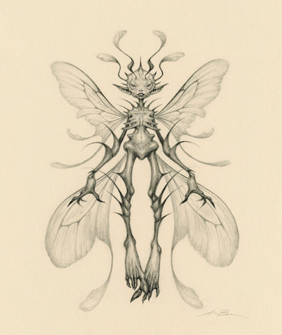Audrey Benjaminsen - 'Spiny Nettle Fae' - graphite on 280 gsm paper