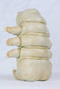 Beau White - "What's Inside A Tardigrade?" - epoxy clay, polymer clay, plastic toothpicks, oil paint & vinyl Toddlerpillar