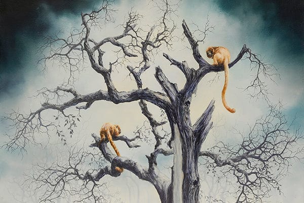 Brian Mashburn - Black Rainbow