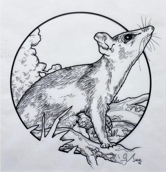 Graeme Base art