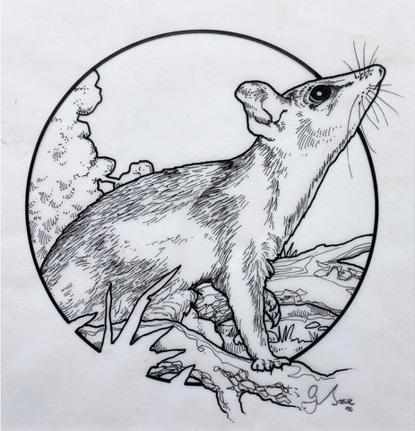 Graeme Base art