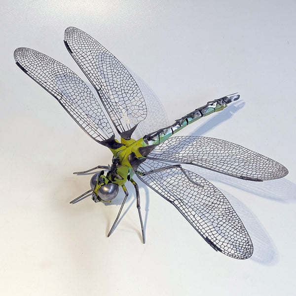 Callan Morgan - 'Anisoptera' - stainless steel