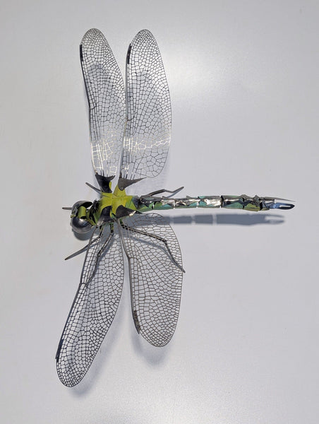 Callan Morgan - 'Anisoptera' - stainless steel | Beinart Gallery