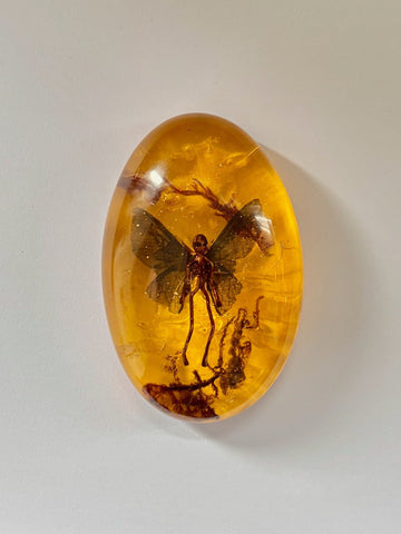 Caroline Dewison art 