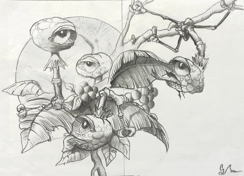 Graeme Base - 'Centrifugal Bloortcrooners' - pencil on paper