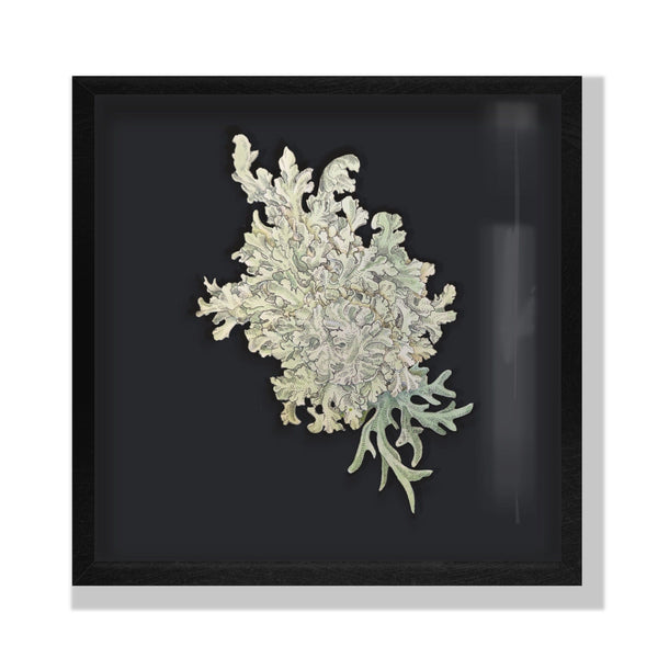 Dan Power - 'An Ecology' - ink and watercolour on papercut