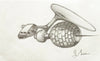 Graeme Base art