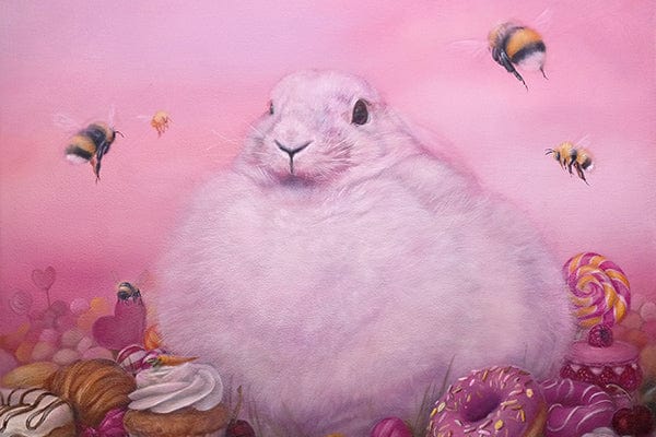 Dewi Plass - Comfort Zone