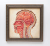 Gabriela Rhinier - 'Nesting Behavior' - watercolour and coloured pencil on paper