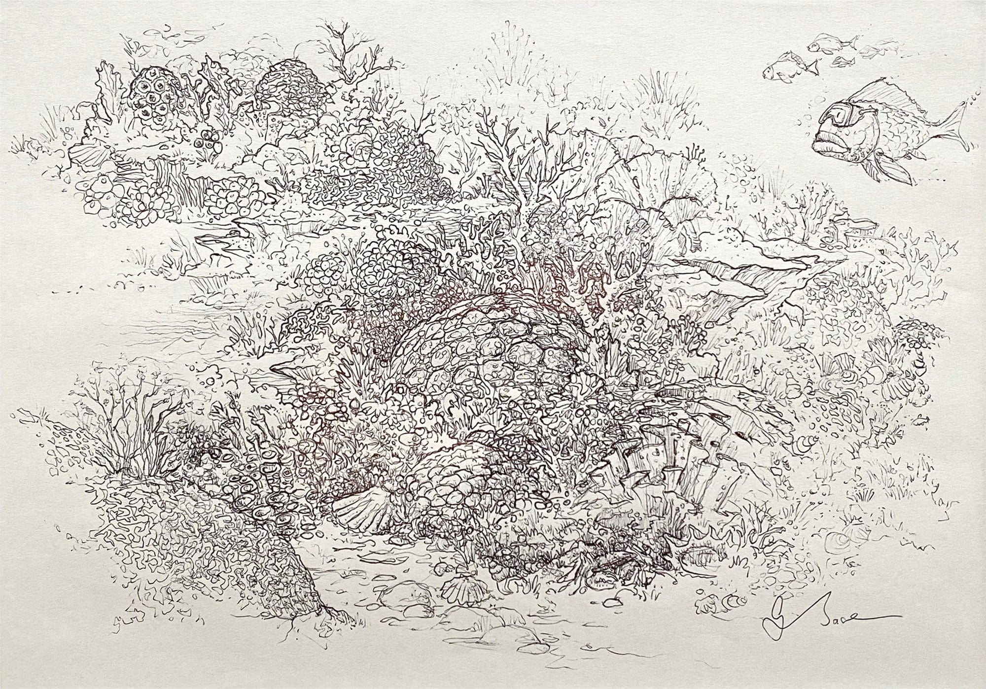 Reef Rocks Drawings Drawing A Reef