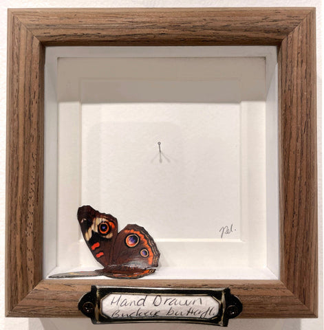 Jen Selmore - "Escape - Buckeye Butterfly" - coloured pencil on toned paper