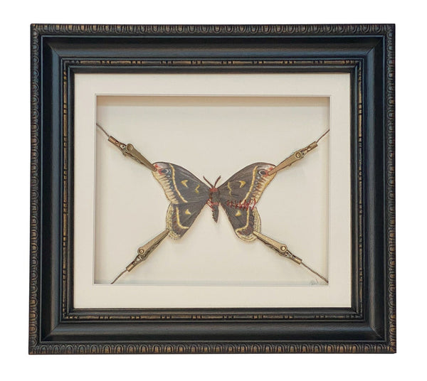Jen Selmore - 'Hard to Watch' - pencil & pastel on toned paper, metal clips, wire and hessian in vintage frame