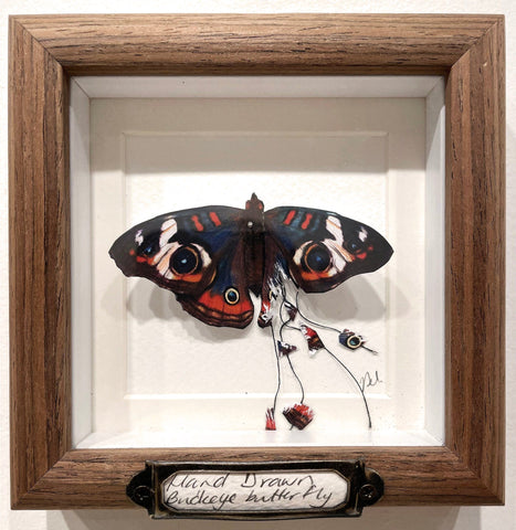 Jen Selmore - "Falling To Pieces - Buckeye Butterfly" - coloured pencil on toned paper