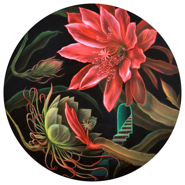 Laura Maree Dominic art