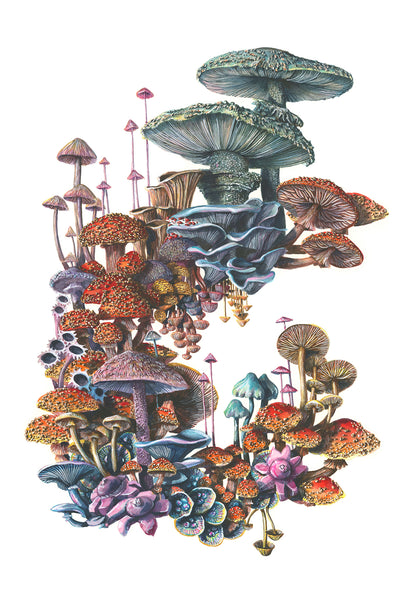 Martha Iserman - 'Fungal' - watercolour on paper