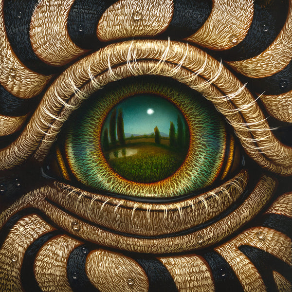 Naoto Hattori art