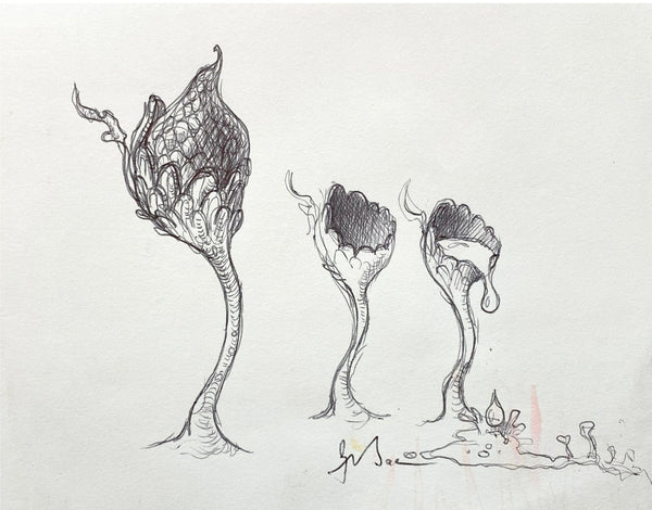 Graeme Base art 
