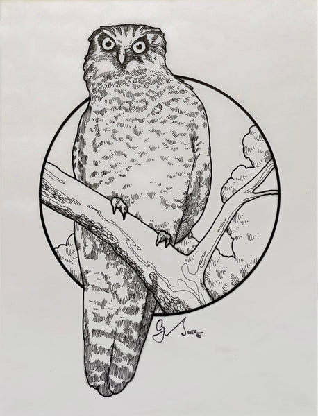 Graeme Base - 'Powerful Owl' - ink on tracing paper