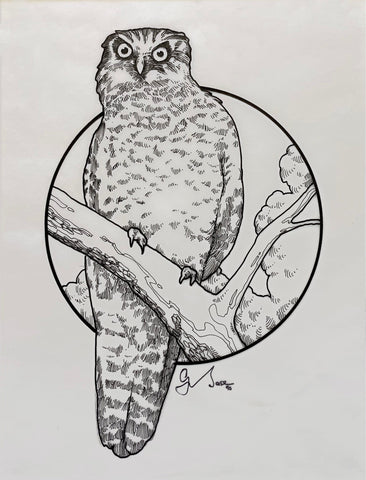 Graeme Base - 'Powerful Owl' - ink on tracing paper