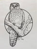 Graeme Base - 'Powerful Owl' - ink on tracing paper