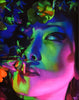 Rachael Bridge - 'Petals' - oil on panel