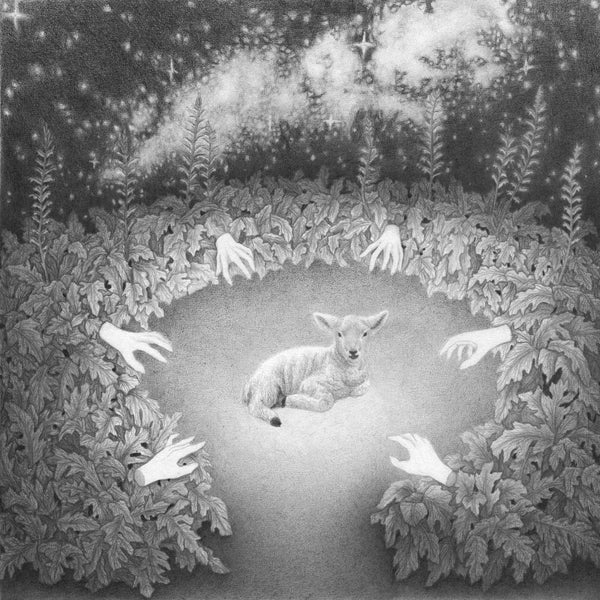 Rachel Power - 'Touch' - graphite on paper