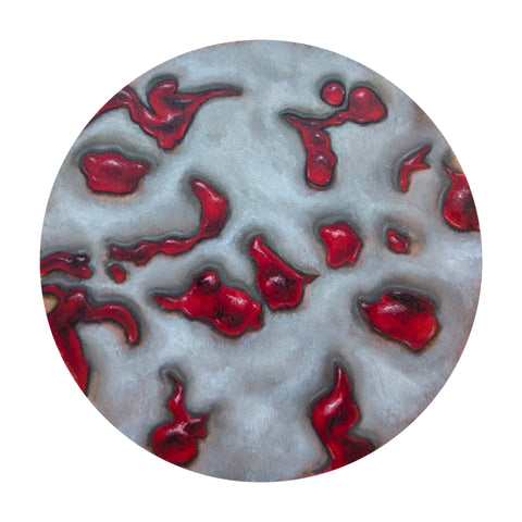 Ricki Wrigley - 'Specimen' - oil on board